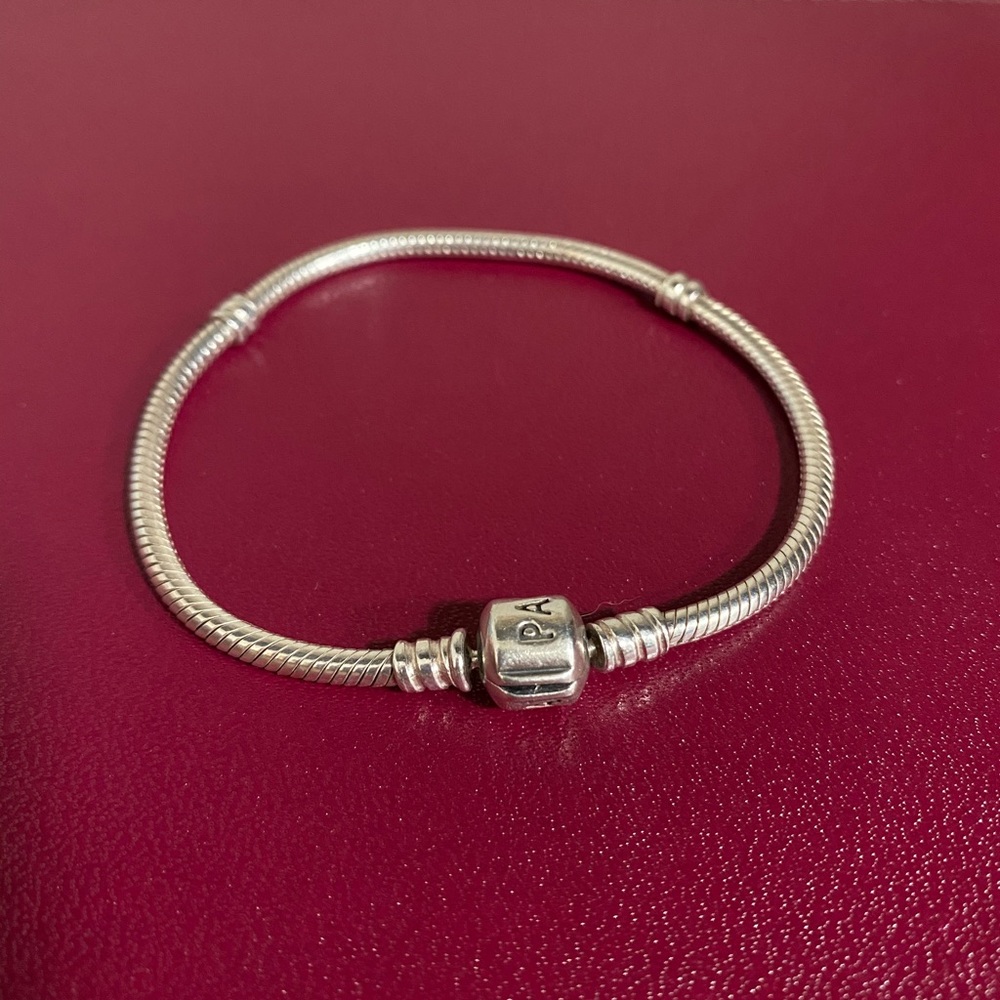 Pandora Moments Snake Chain Bracelet